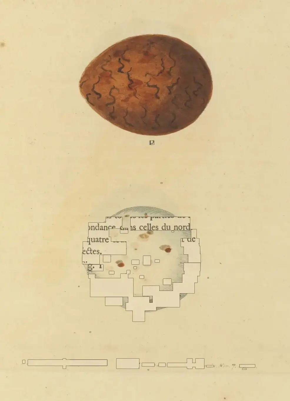 An illustration of an egg with text