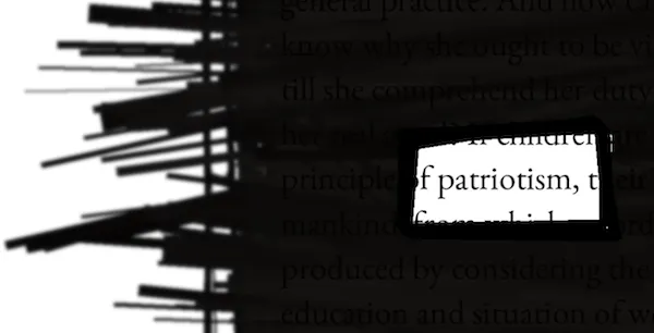 Blacked-out text leaving the word 'patriotism'
