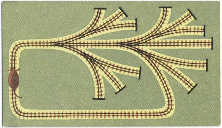 Mid-century scientific illustration of a nerve cell with branching dendrites radiating outward, drawn in brown on an olive green background