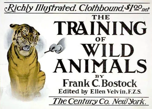 Book cover of 'The Training of Wild Animals' by Frank C. Bostock, featuring an illustrated snarling tiger