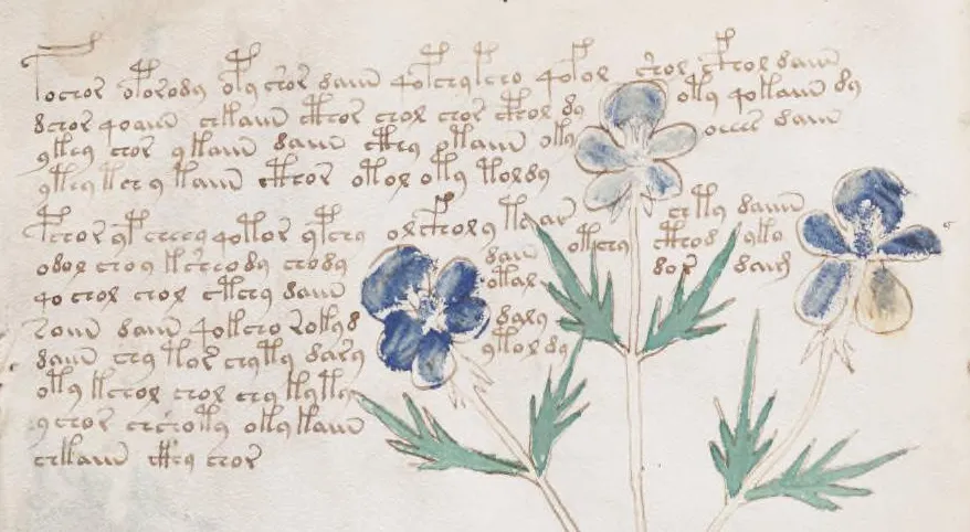 Example of flowed text in original Voynich manuscript