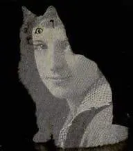 A cat with a woman's face superimposed on it