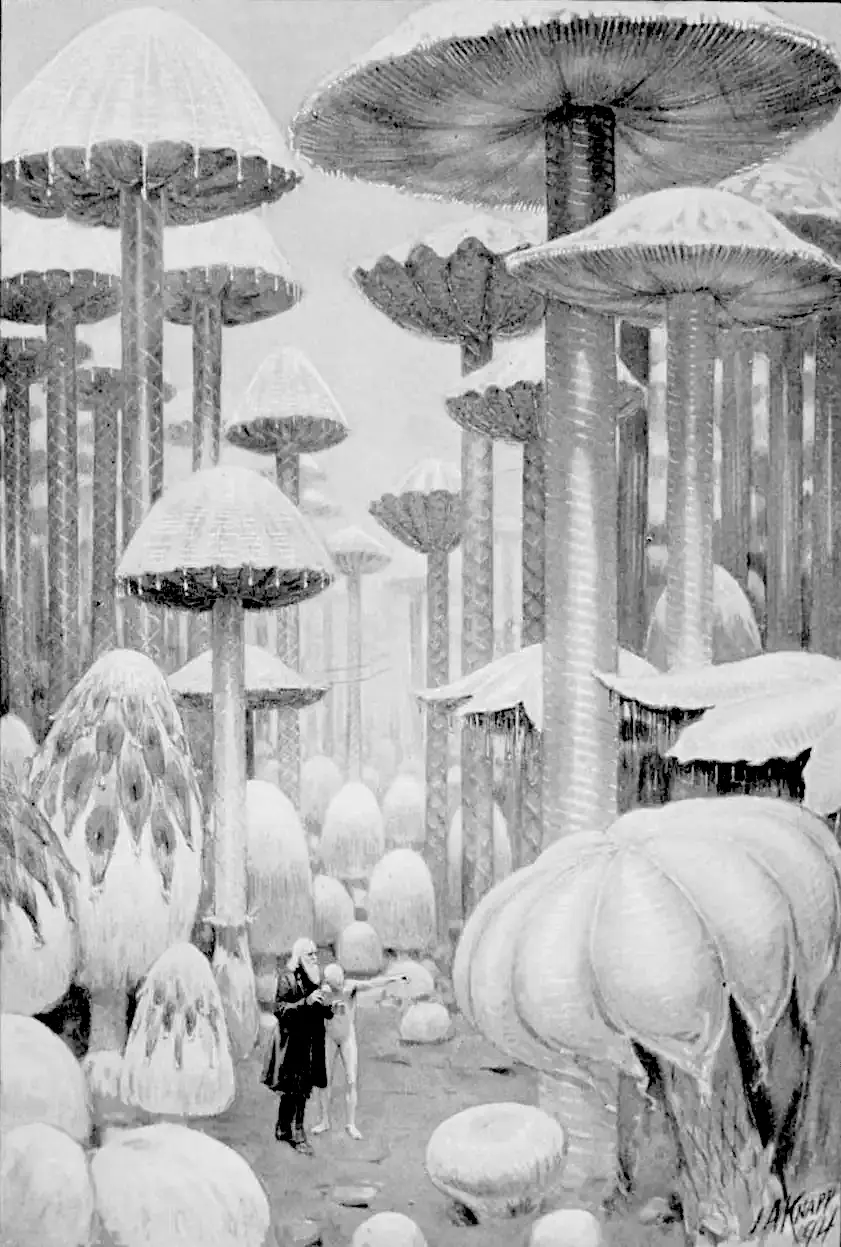 The eyeless man and the narrator in a field of giant mushrooms