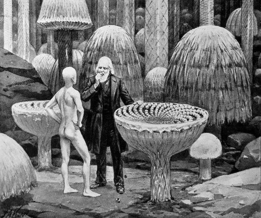 The eyeless man and the narrator; the narrator is eating a piece of a giant mushroom