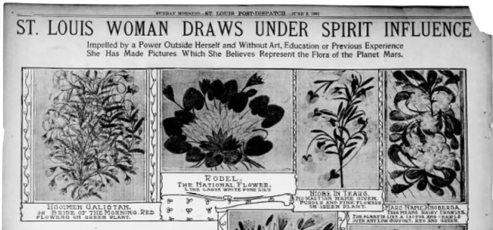 Interview with Sara Weiss in the St. Louis Dispatch, 1901