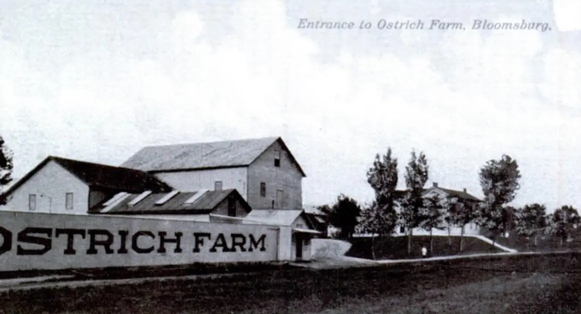 Entrance to the farm at Bloomsburg