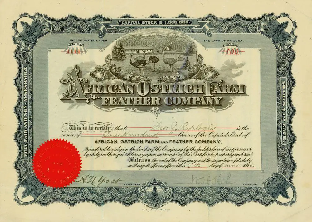African Ostrich Farm and Feather Company stock certificate. This is a later 1913 issue.