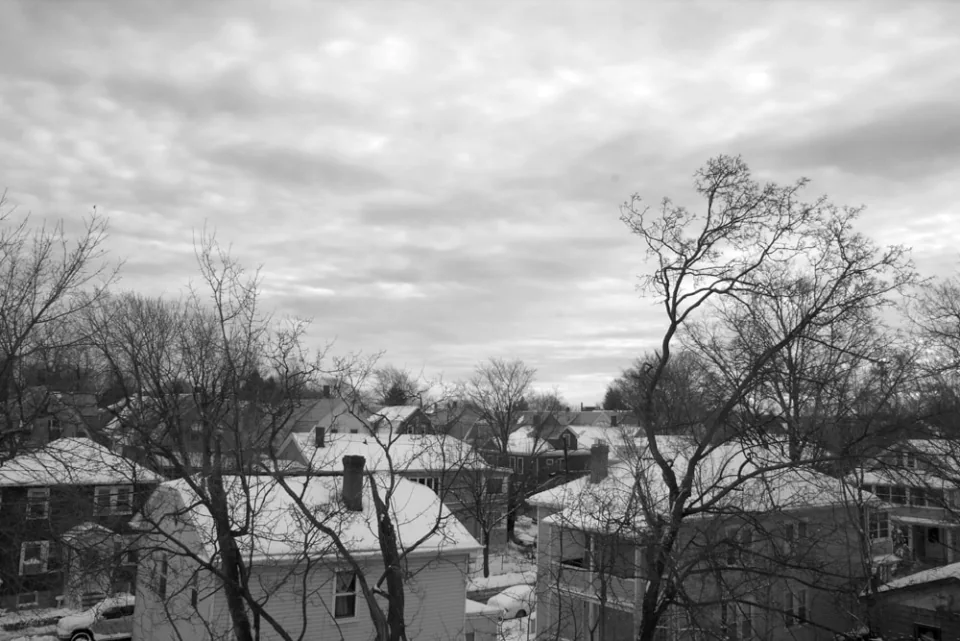 Backyard sky