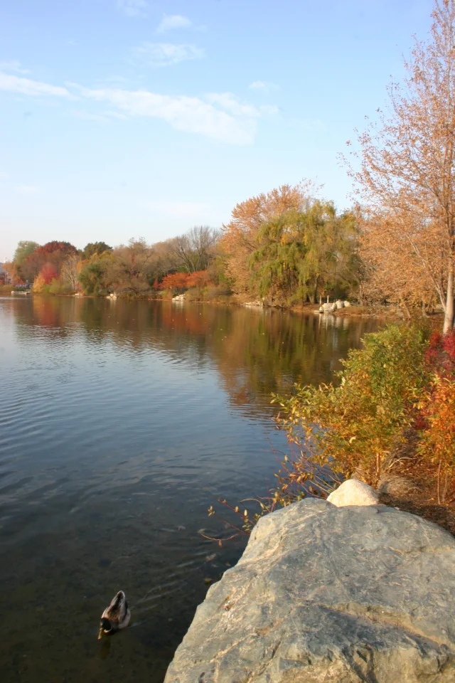lake-portrait