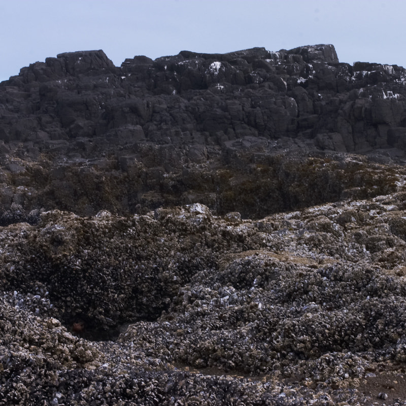 Barnacle hill cliffs