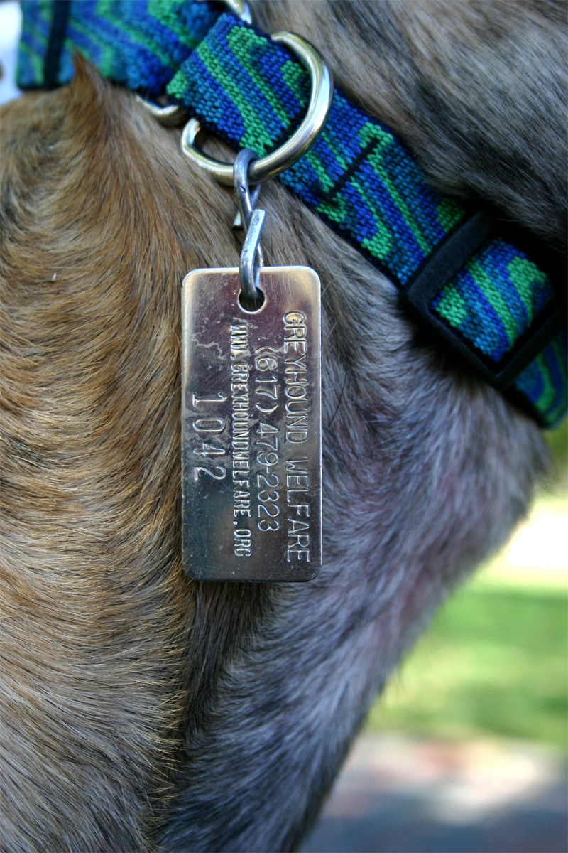 Dog tag