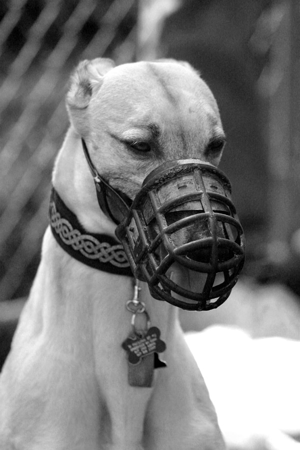 In some circles, this would be kinky