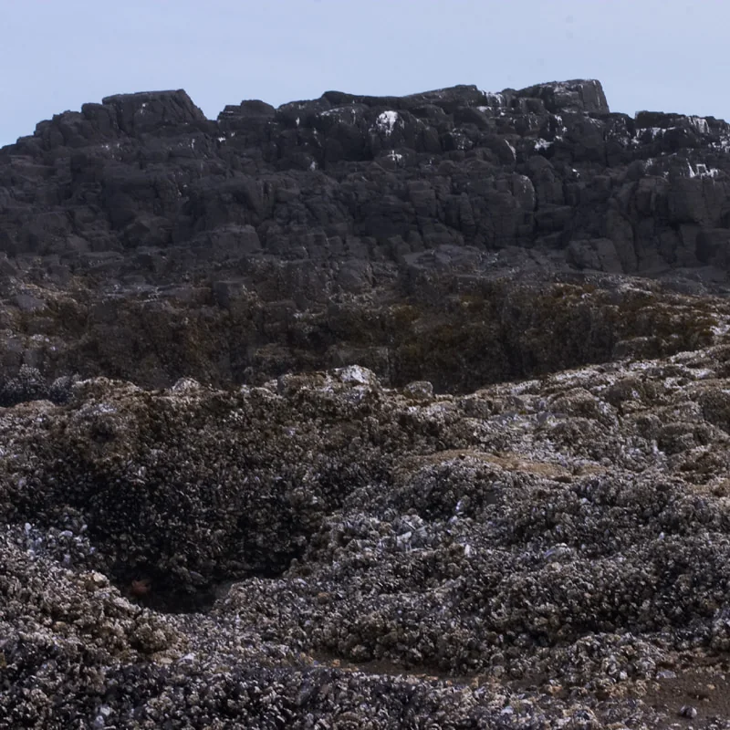 Barnacle hill cliffs