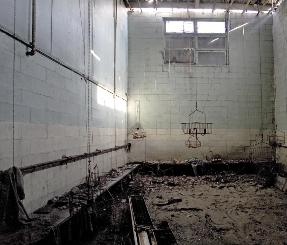 Basket Room