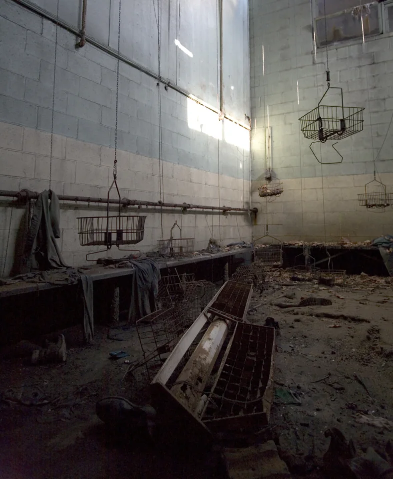 Basket Room