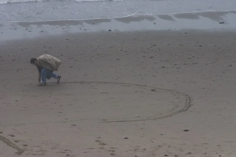 Rob crop circle
