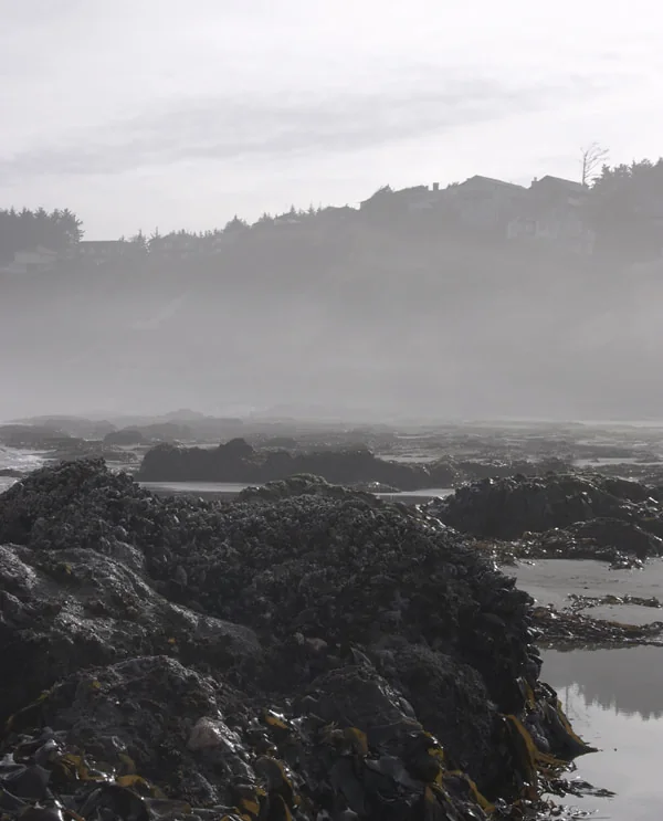 Rocks in the mist