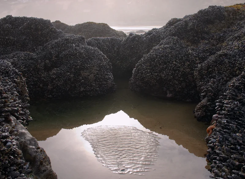Tidepool cove at sunrise