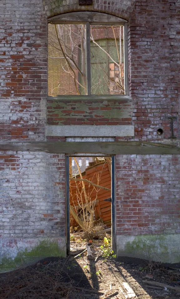 Tree in the doorway