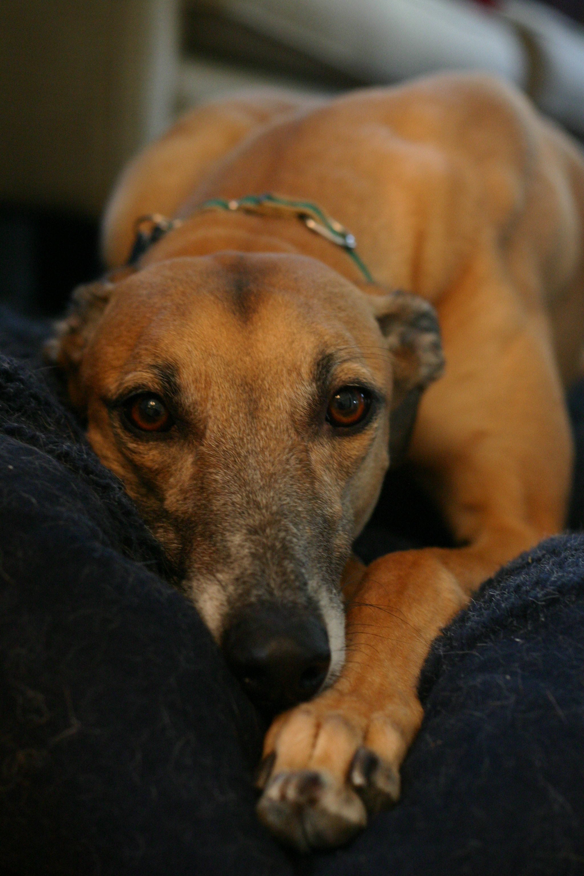 Who's got portrait face?