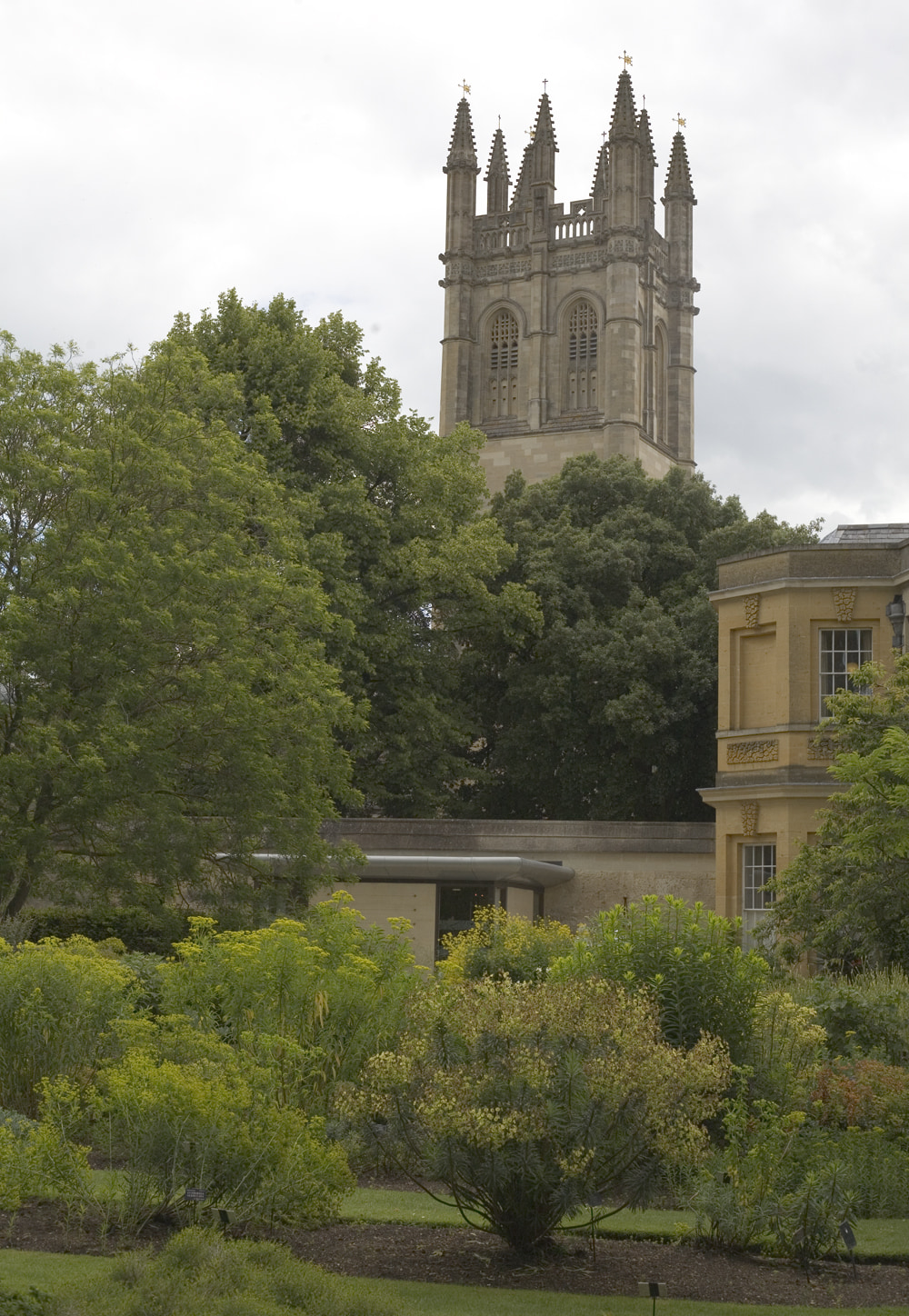 Botanical gardens courtyard
