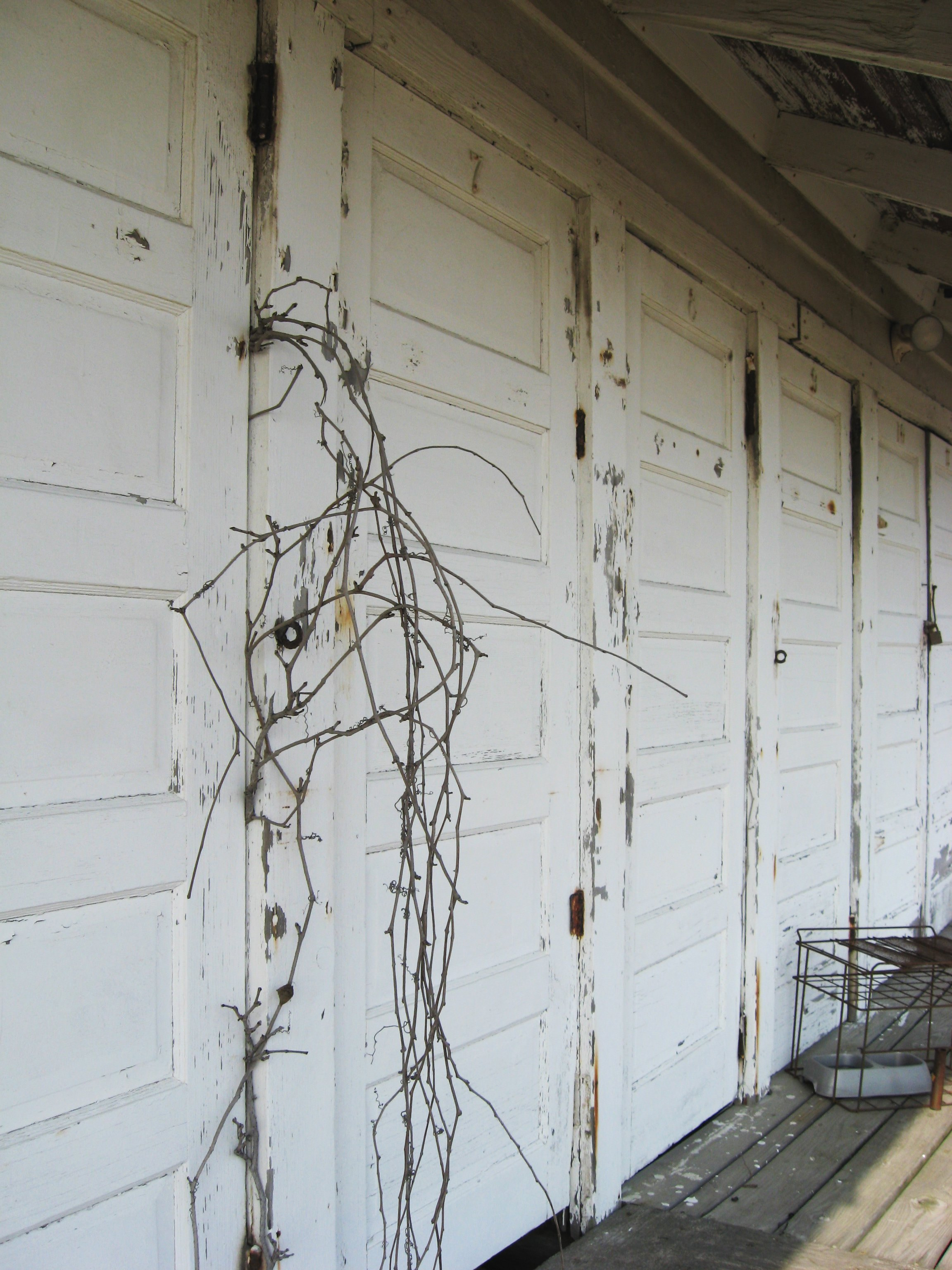Branches on beach hut