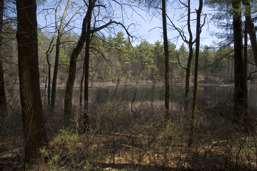 Holt Pond