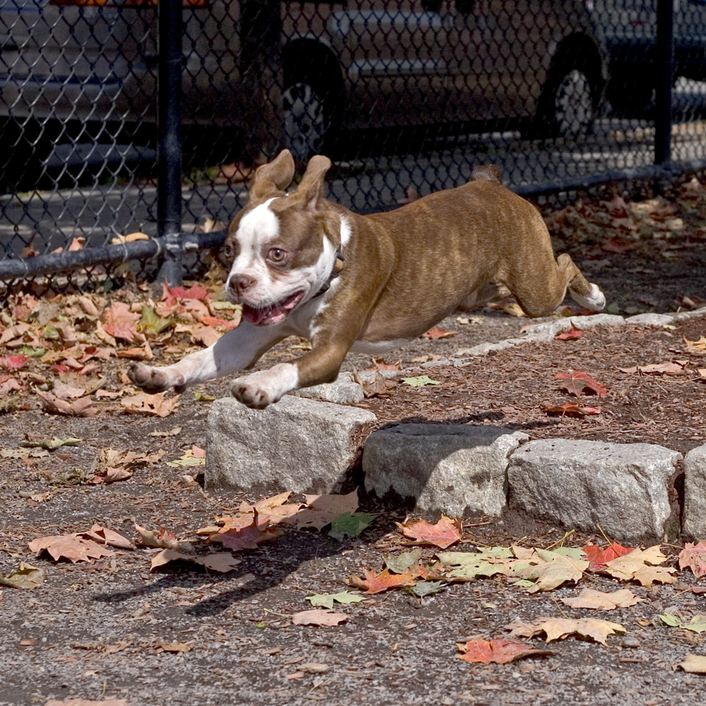 In flight entertainment