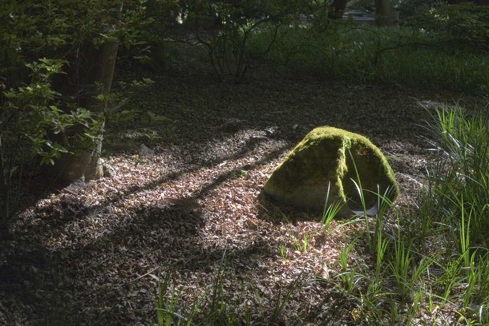 Japanese tea garden rock