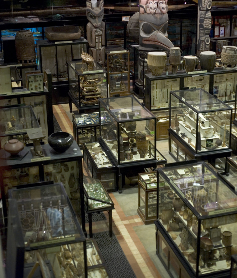 Pitt Rivers museum interior