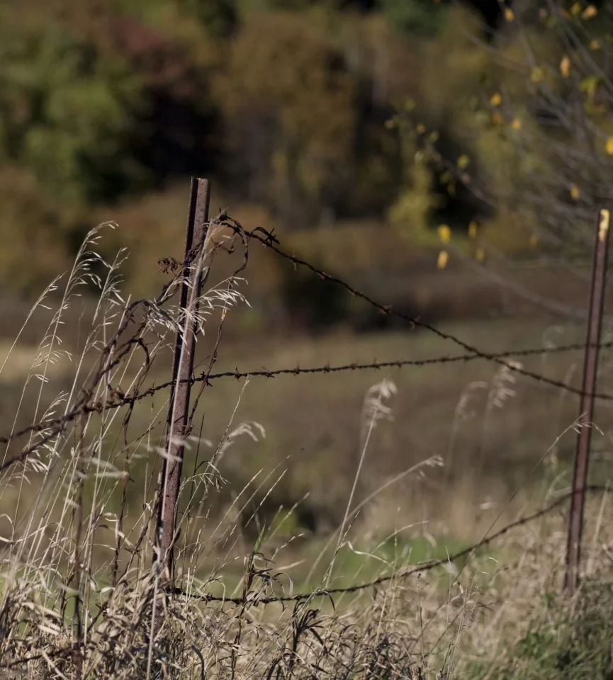 Fence
