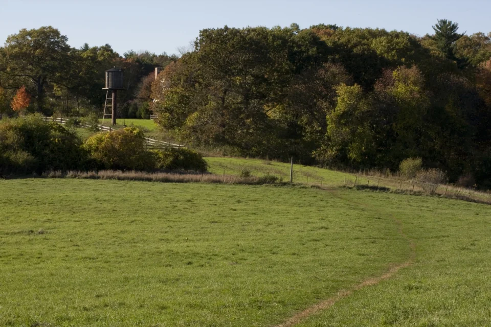 Field and path