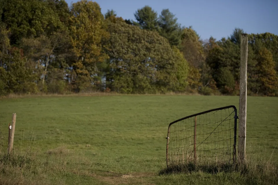Field