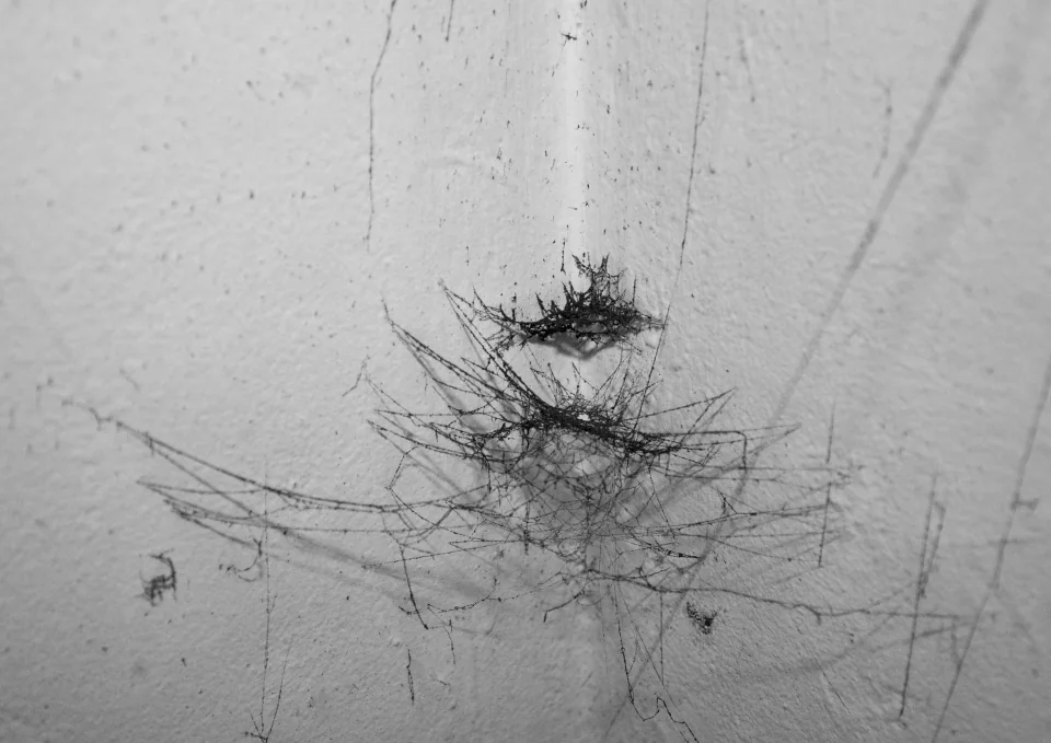 Firewebs