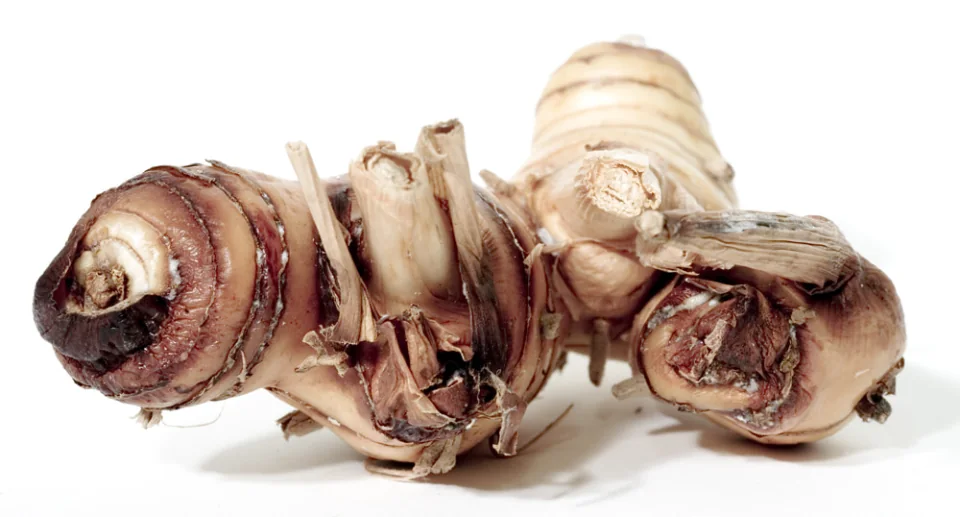 Galangal root