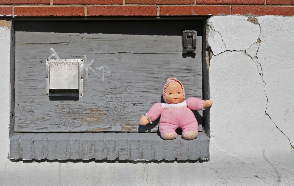 How much is that baby in the window