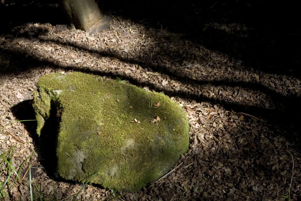 Japanese tea garden rock