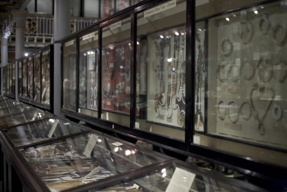 Pitt Rivers museum interior