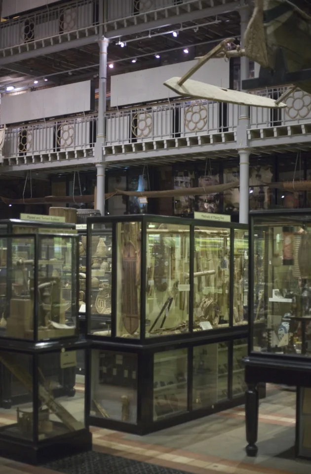 Pitt Rivers museum interior