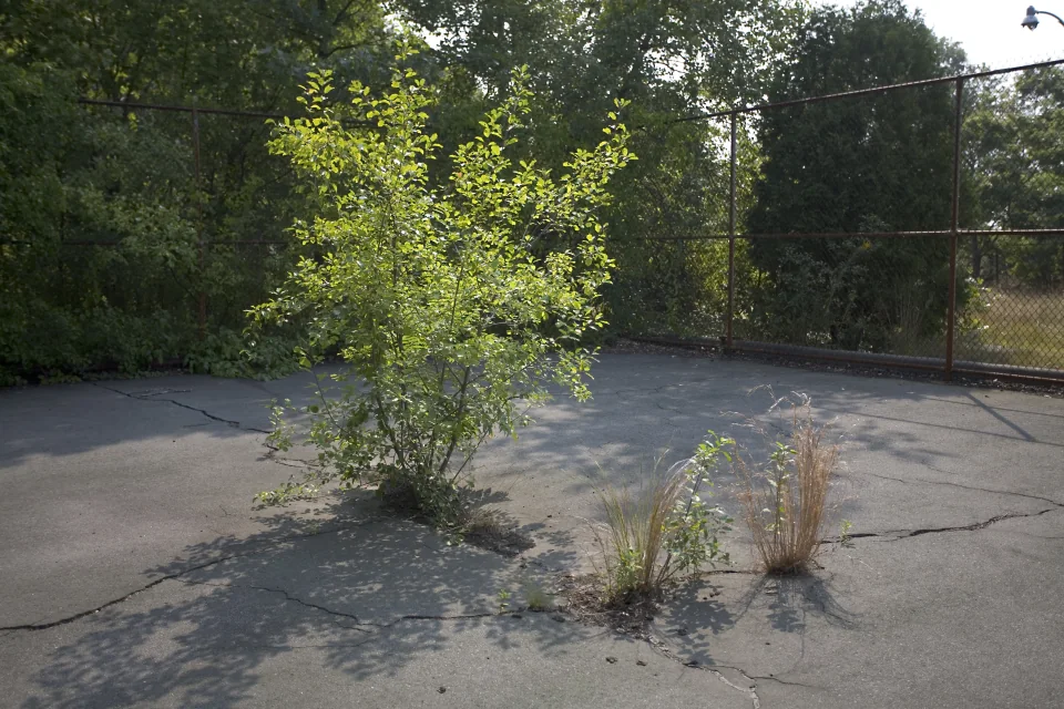 Tennis court