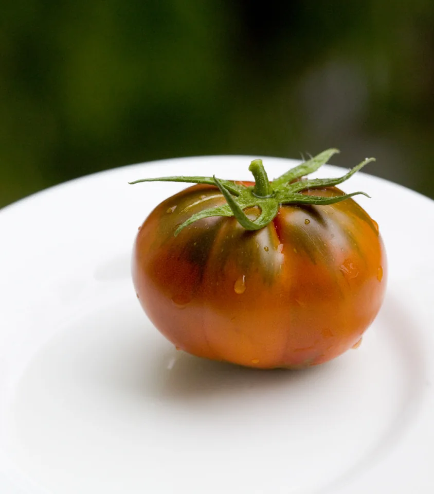 Tiny tomato