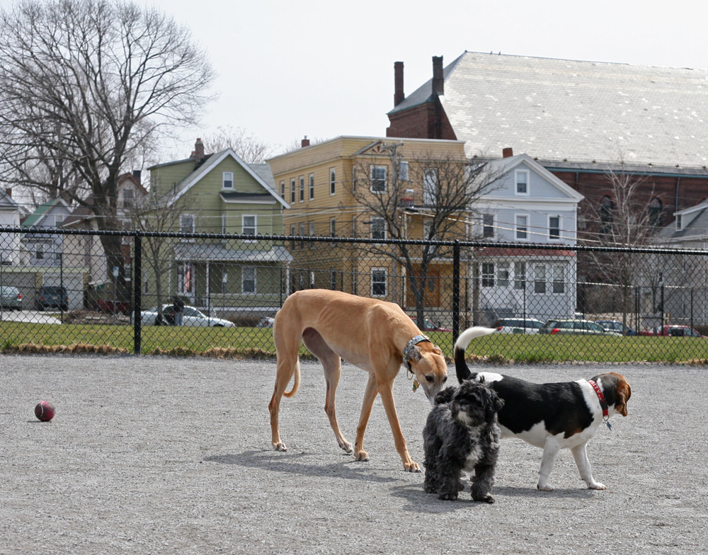 Vision checking everyone out