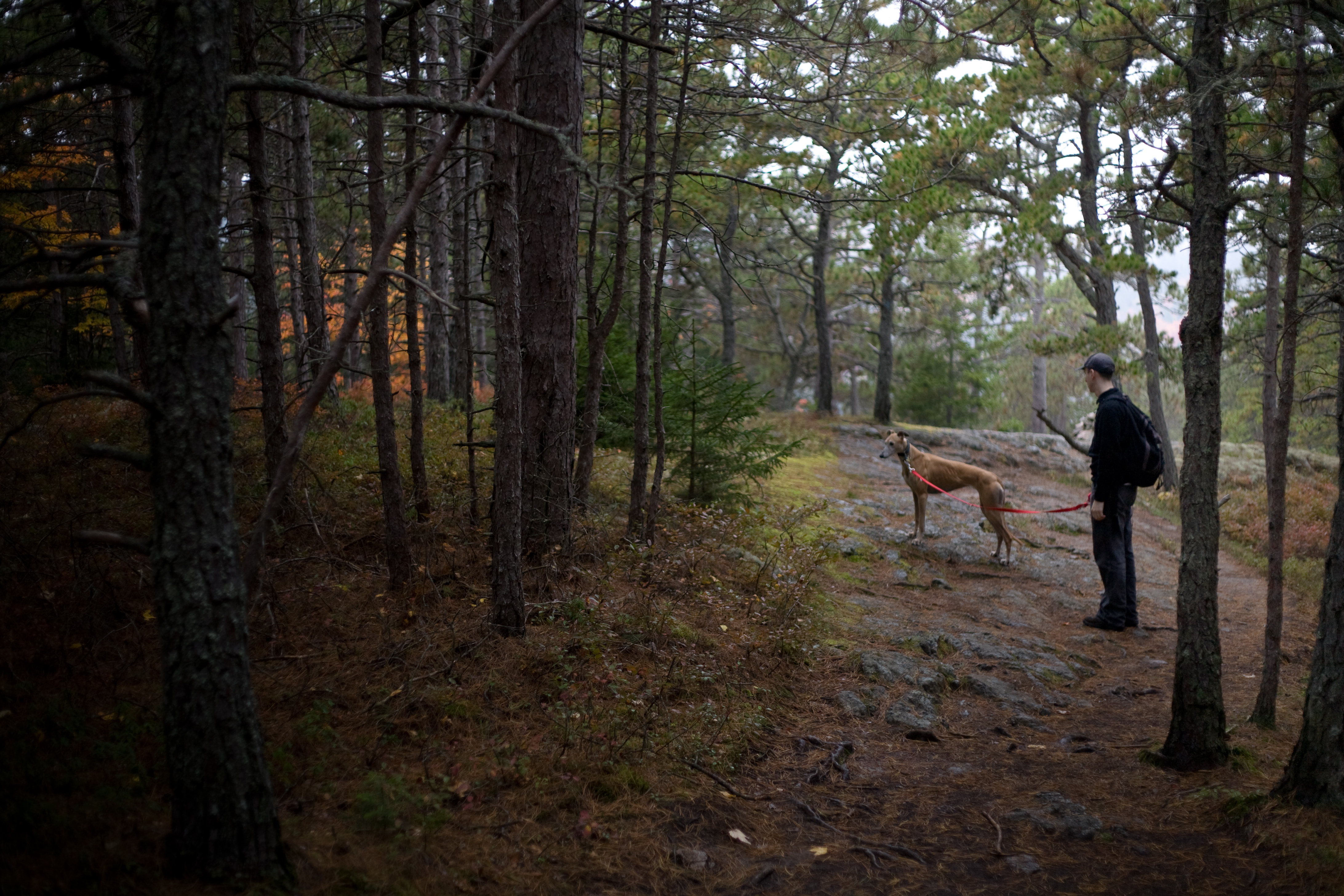 A hunter in darkness