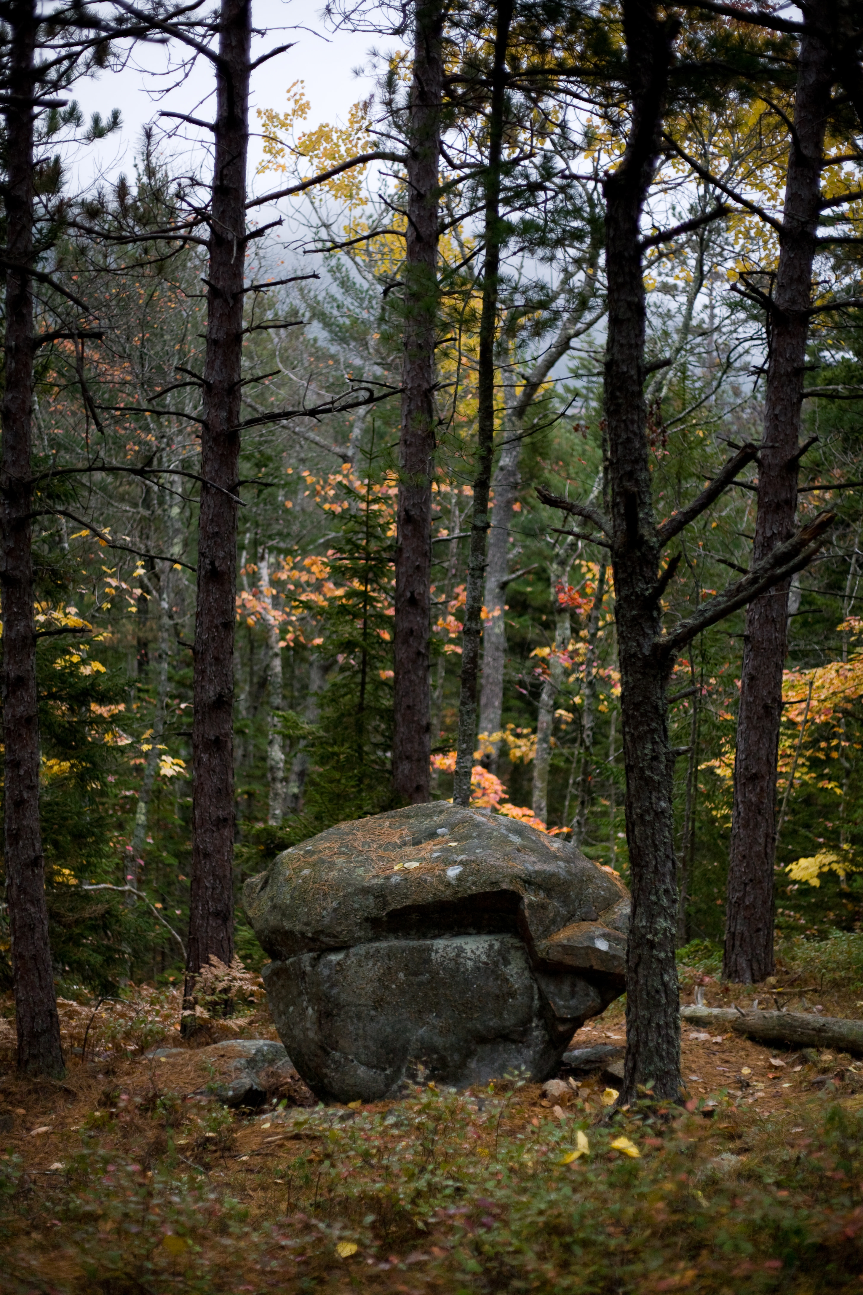 Descending St. Saveur