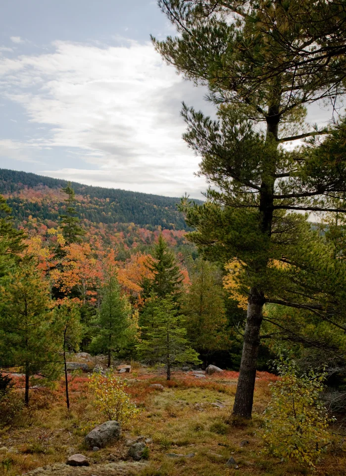 Carriage road view