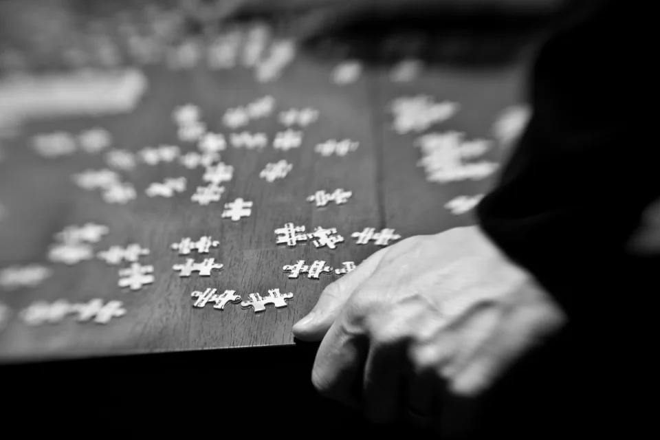 Studying the puzzle