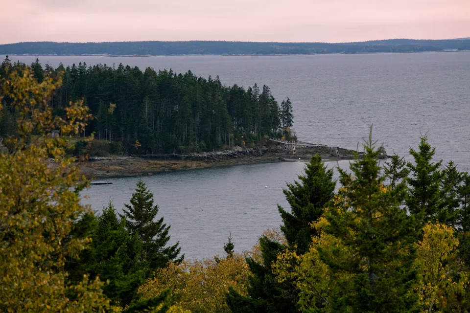 View from house over Southwest Harbor