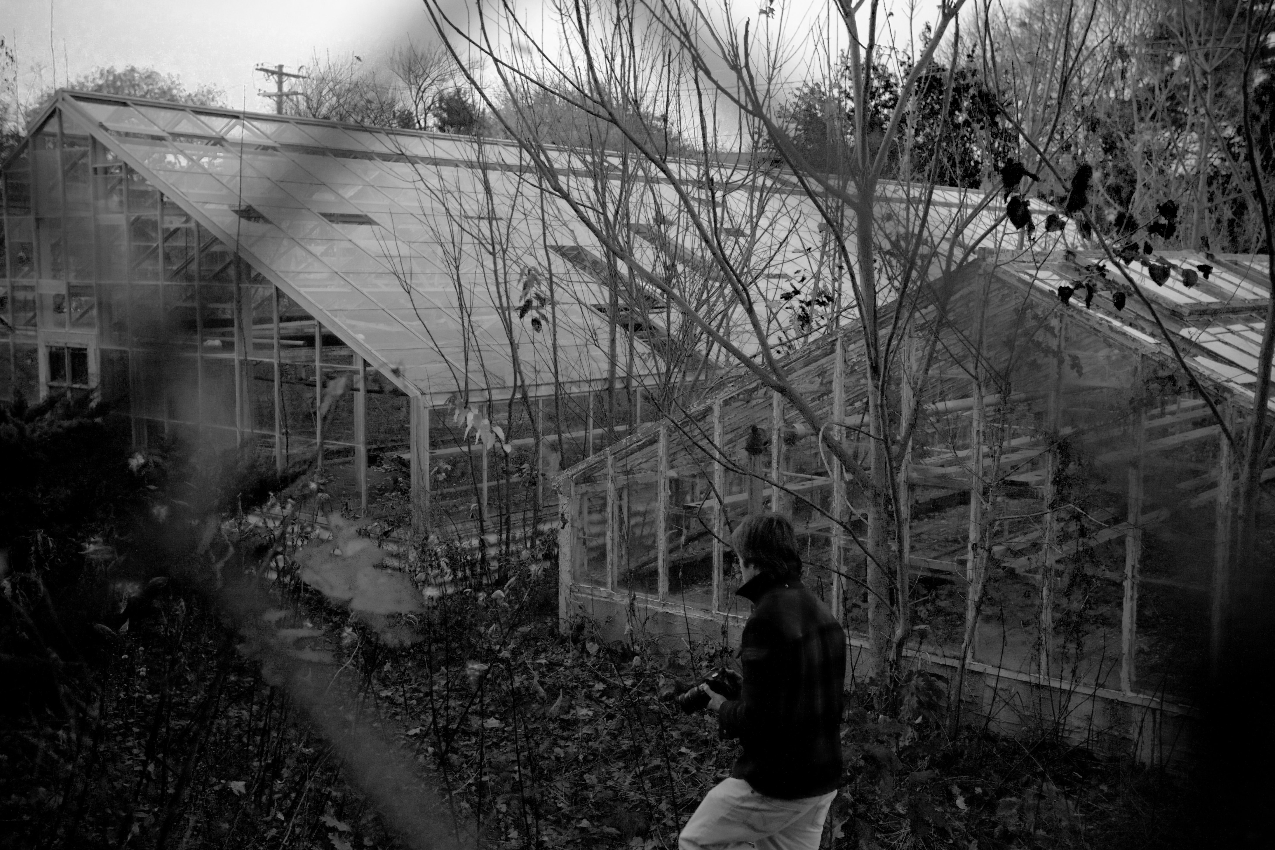 Abandoned greenhouse