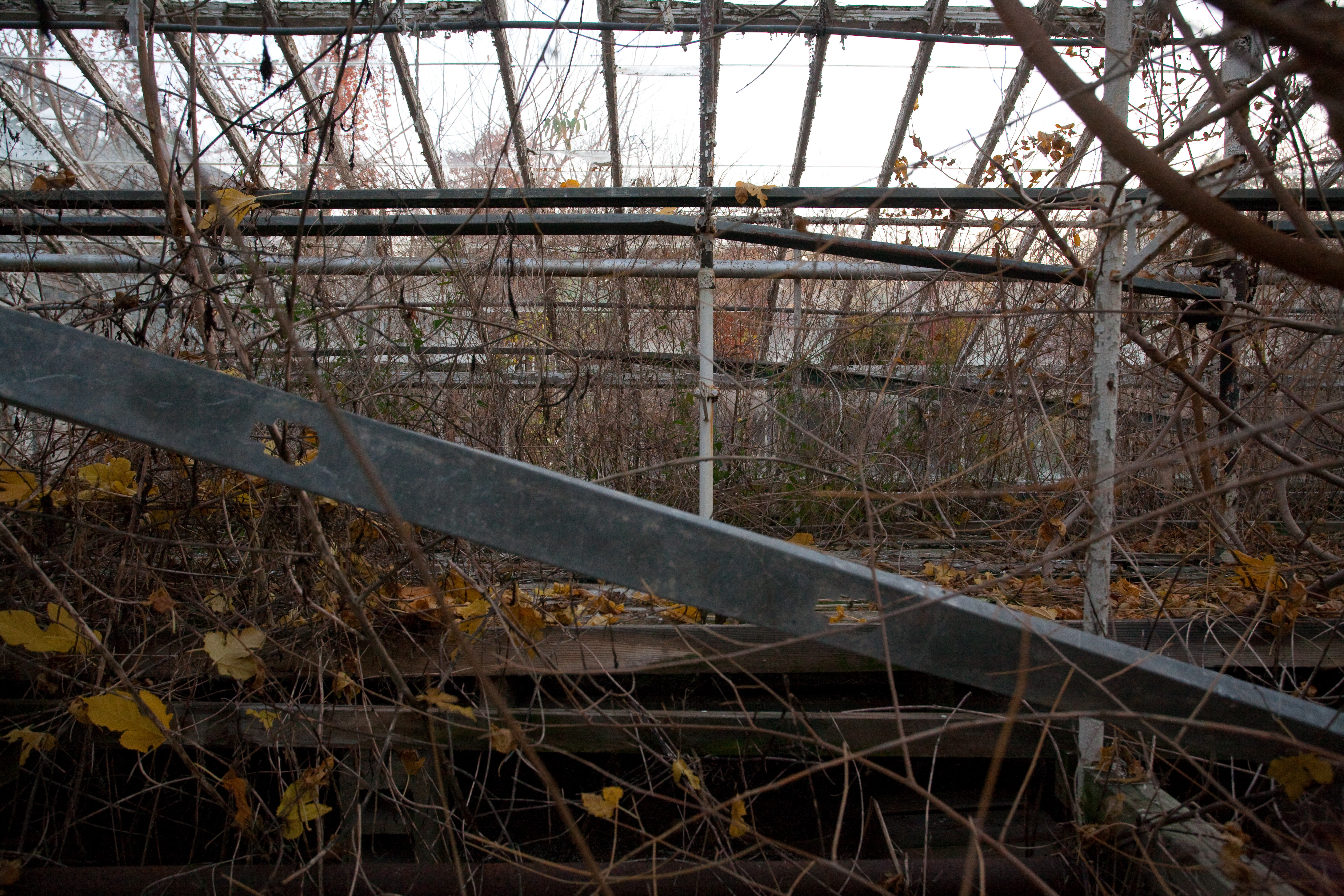 Abandoned greenhouse
