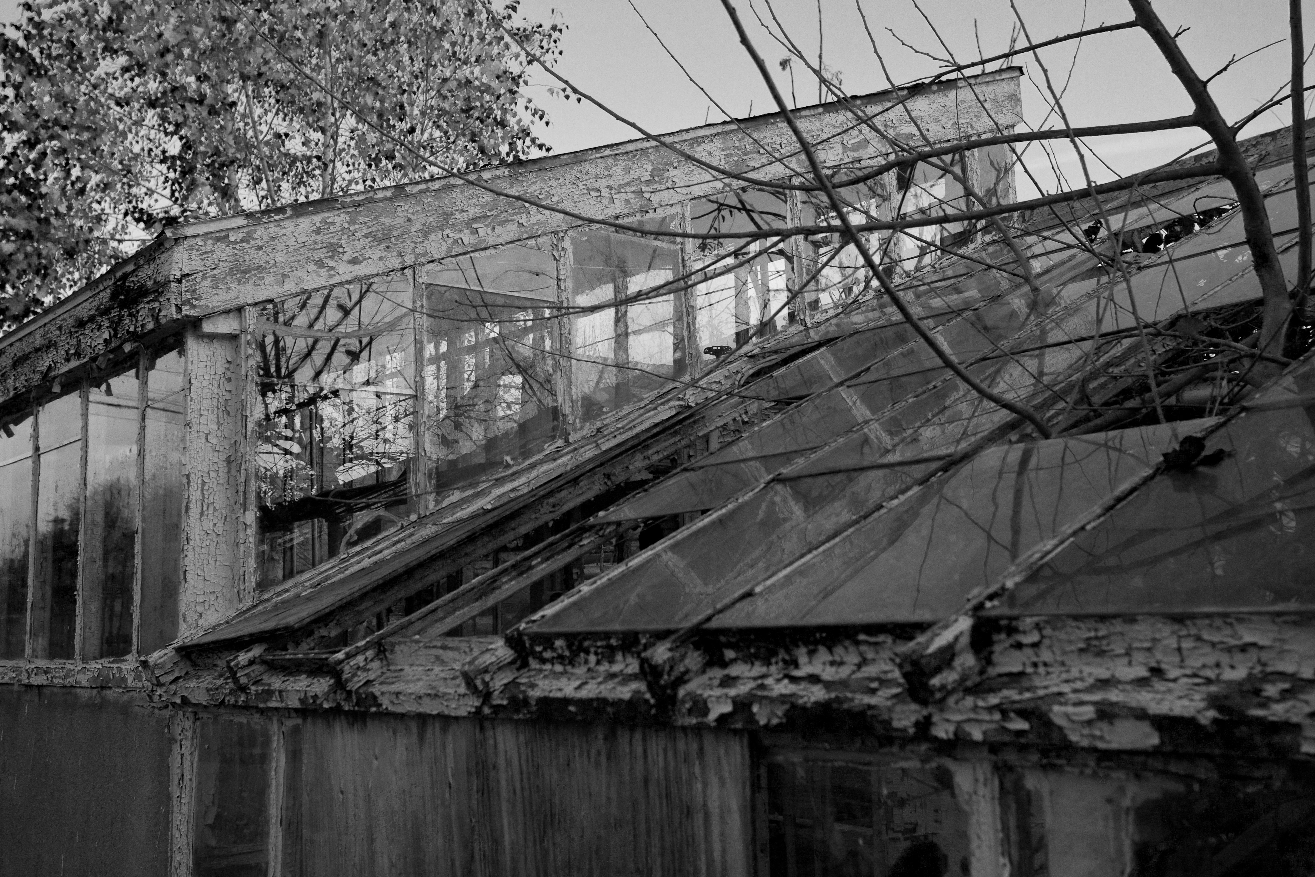 Abandoned greenhouse